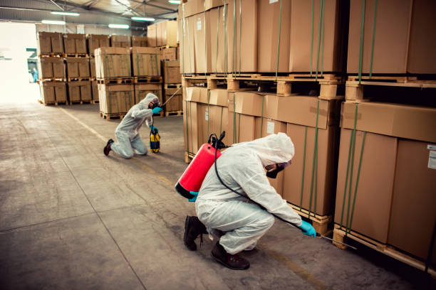 Best Affordable Pest Control Services  in Modesto, CA