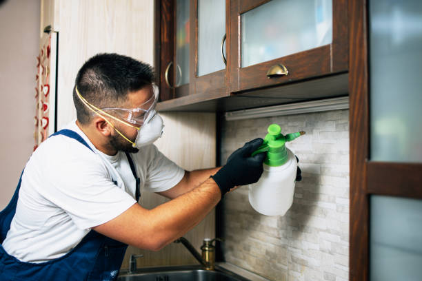 Best Pest Control Near Me  in Modesto, CA