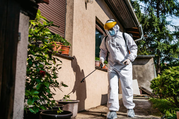Best Ant Control Services  in Modesto, CA