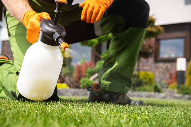 Best Pest Removal Services  in Modesto, CA