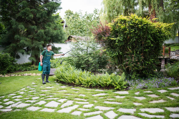Best Mosquito Control Services  in Modesto, CA