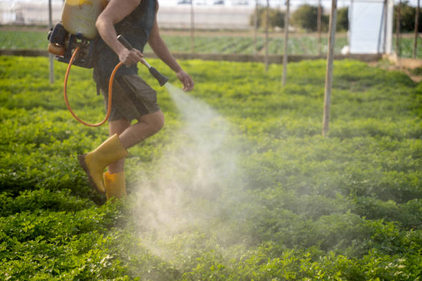 Wildlife Control Services in Modesto, CA