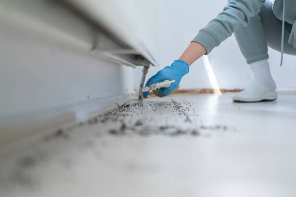 Wildlife Control Services in Modesto, CA
